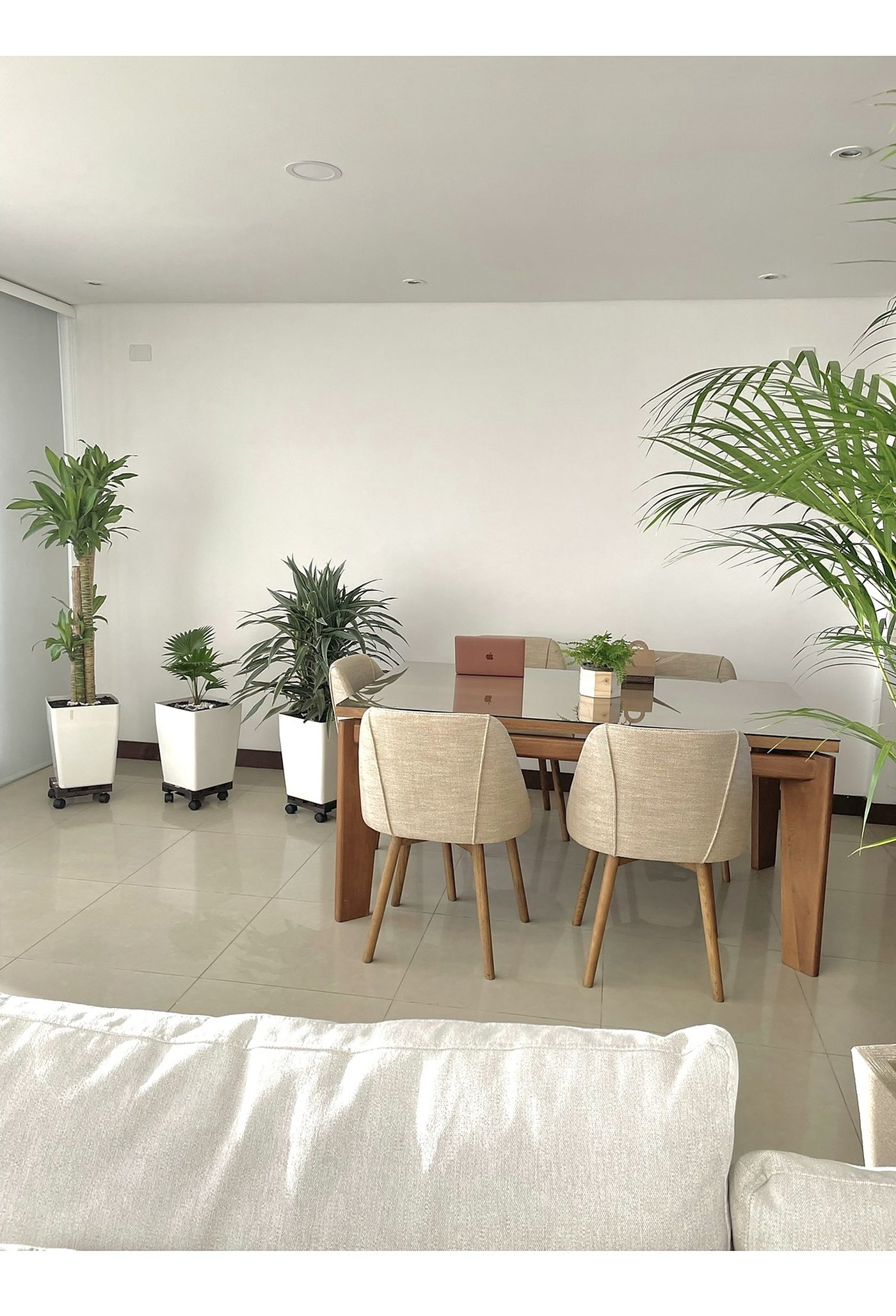 Comedor del proyecto Solaris con plantas, sillas de lino y mesa de madera